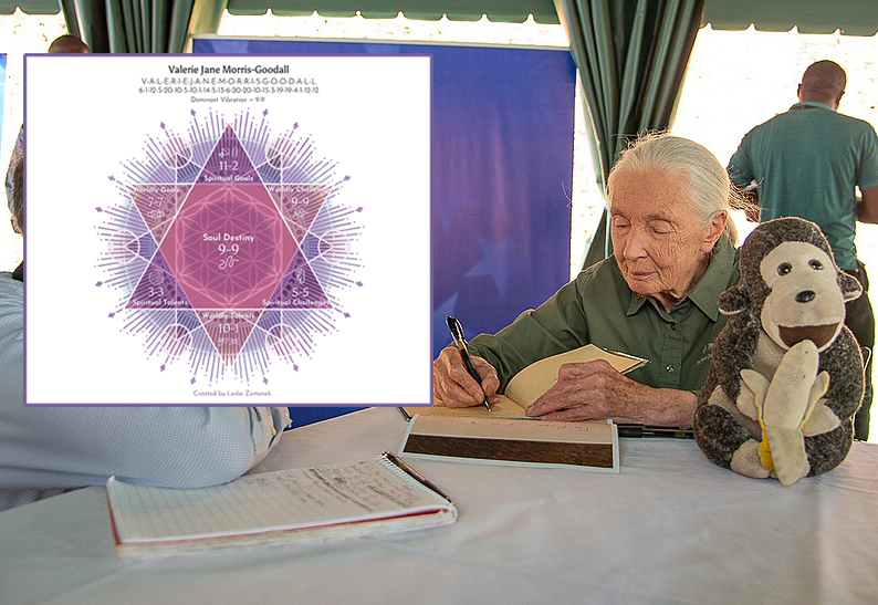 Jane Goodall signing a book with an image of her soul plan overlaid.